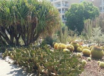 Nature and design meet. Photo credit: Holon Municipality Nature and design meet. Photo credit: Holon Municipality