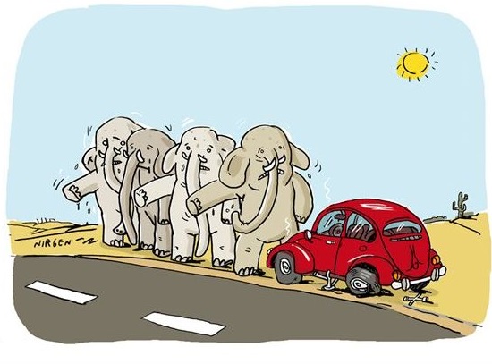A humorous perspective of daily situations. Credit: in Nir Molad and Amos Ellenbogen