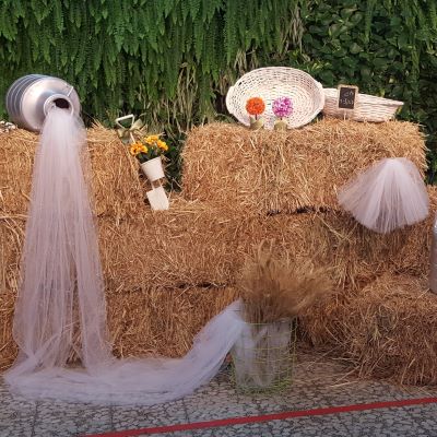 Shavuot events. Photo Credit: Holonet