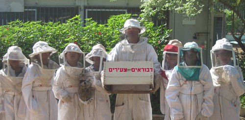 דבוראים צעירים