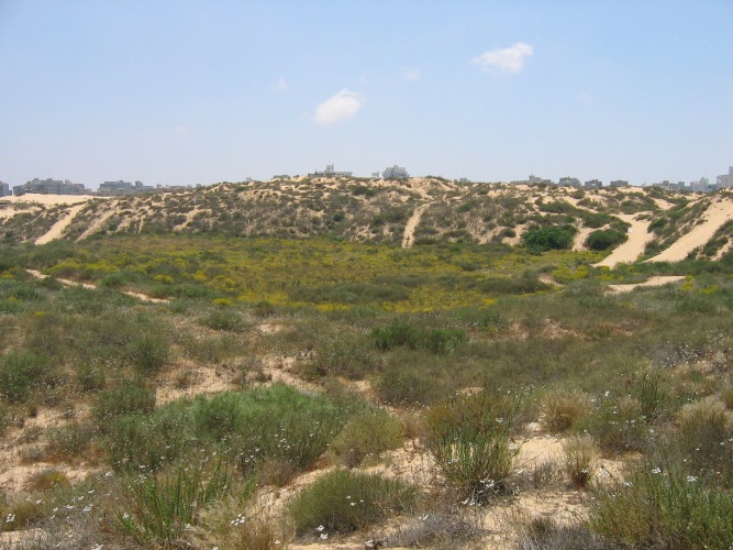 פארק החולות