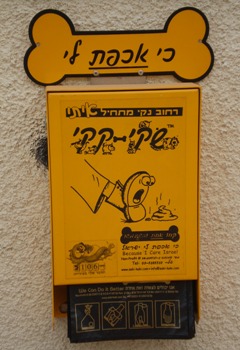 תמנת שקי קקי
